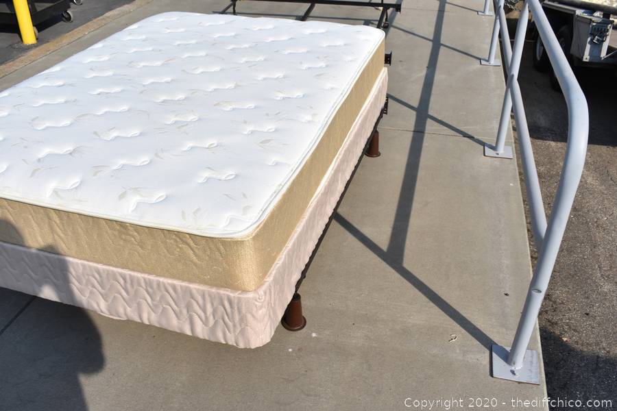 The Difference Auction October 2020 Paradise, Chester and Chico