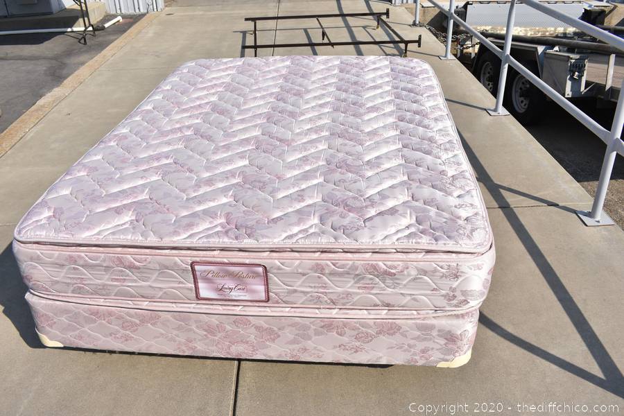 The Difference Auction October 2020 Paradise, Chester and Chico