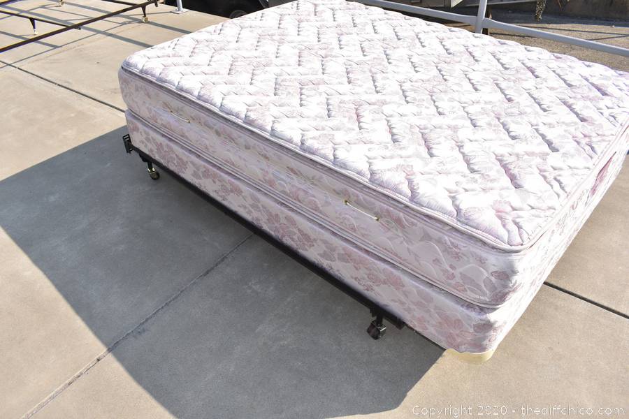 The Difference Auction October 2020 Paradise, Chester and Chico