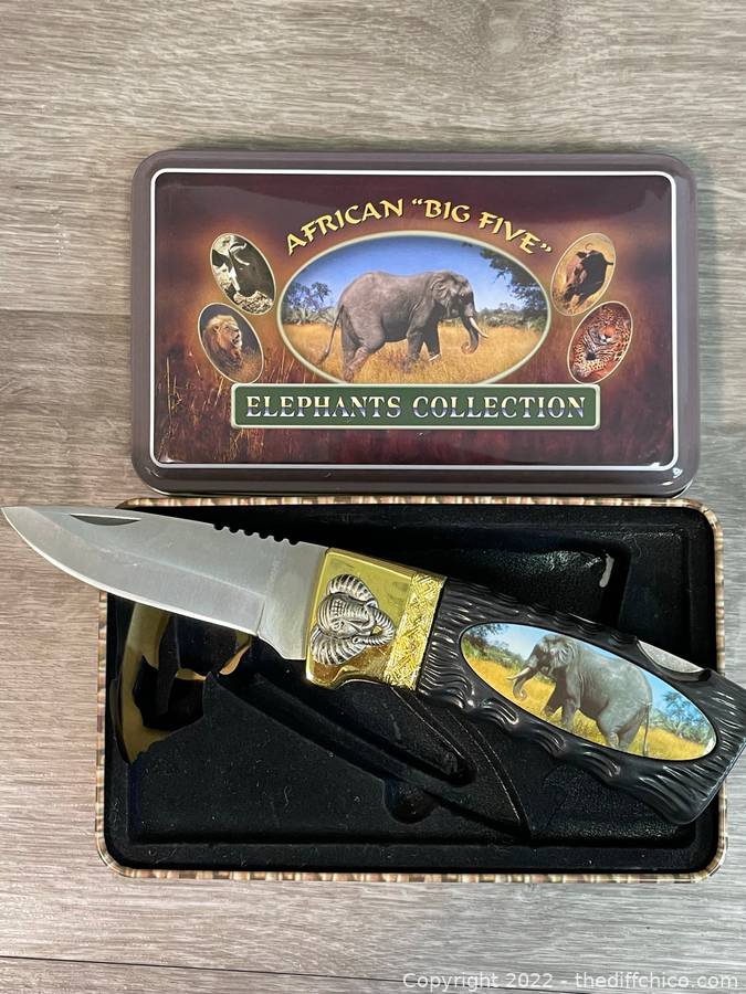 The Difference Auction KCKAUCTIONS FEBRUARY AUCTION ITEM African