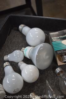 Light Bulbs