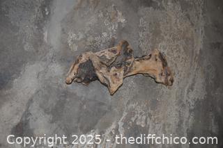 Piece of Drift Wood-27in wide