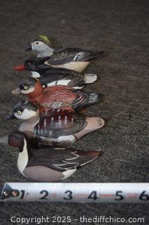 Duck Collection