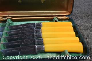 Stainless Bakelite Steak Knives plus case