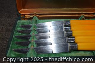 Stainless Bakelite Steak Knives plus case