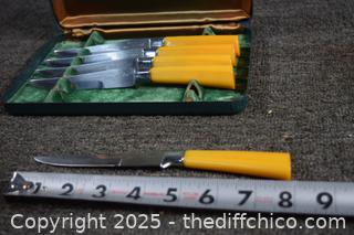 Stainless Bakelite Steak Knives plus case