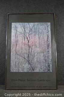 Framed Poster-22in x 34in