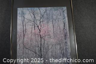 Framed Poster-22in x 34in