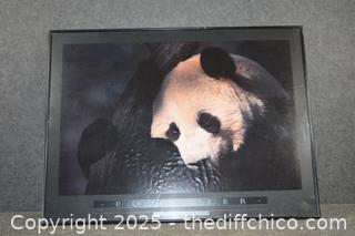 Framed Panda Poster-32in x 24in