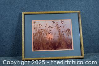Framed Signed Photo-21in x 17in