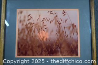 Framed Signed Photo-21in x 17in