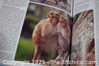 4 World Animal Books