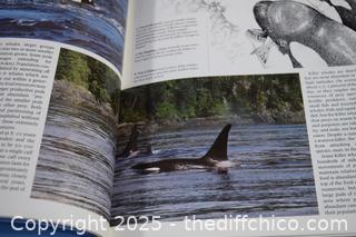 4 World Animal Books