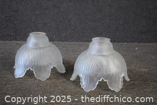 2 Frosted Glass Shades
