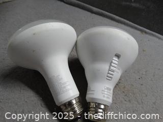 Osram Bulbs