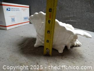 Large White Shell Décor 
