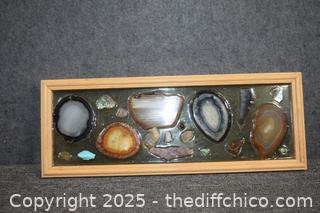 Window Rock Collection