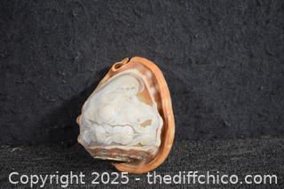 Carved Concha Shell-Mother and Child