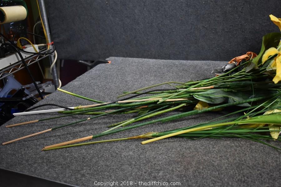 The Difference Auction Feb 2018 Estates from Northern CA (CLICK HERE