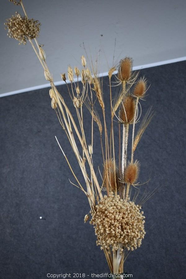 The Difference Auction Feb 2018 Estates from Northern CA (CLICK HERE